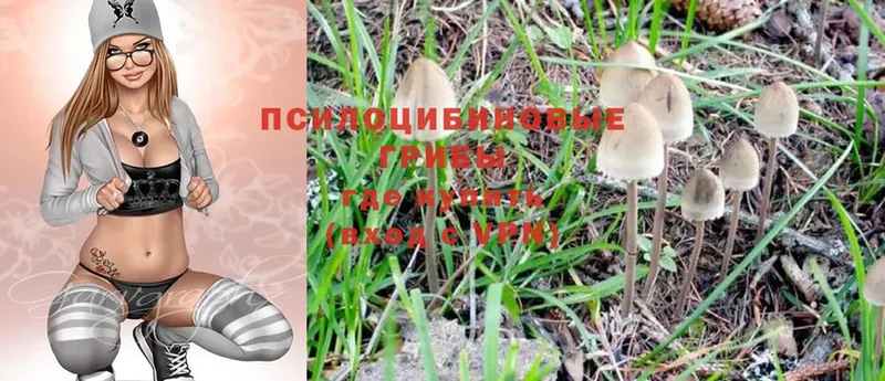 наркота  гидра   Псилоцибиновые грибы Magic Shrooms  Бавлы 